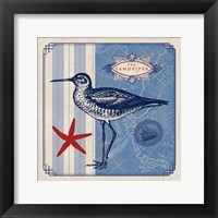 Sea Bird II Framed Print