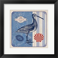 Sea Bird III Framed Print