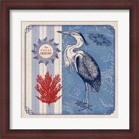 Framed Sea Bird IV