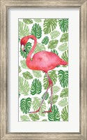 Framed Tropical Flamingo II
