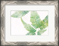 Framed Ferns I Square