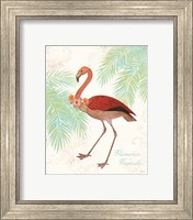 Framed 'Flamingo Tropicale II' border=