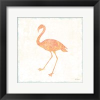 Flamingo Tropicale VI Framed Print
