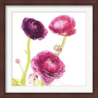 Framed Spring Ranunculus I
