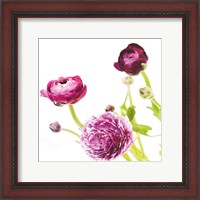 Framed Spring Ranunculus II