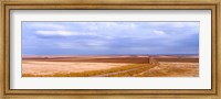 Framed Endless Wheat Fields, Montana