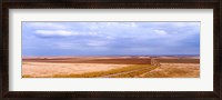 Framed Endless Wheat Fields, Montana