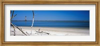 Framed Morris Island Lighthouse, South Carolina