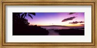 Framed Palm Trees at Dusk, Maui, Hawaii, USA