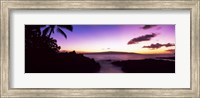 Framed Palm Trees at Dusk, Maui, Hawaii, USA