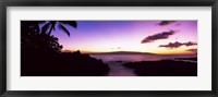 Framed Palm Trees at Dusk, Maui, Hawaii, USA