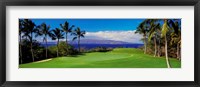 Framed Wailea Emerald Course, Maui, Hawaii