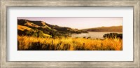 Framed Akaroa Harbour, Banks Peninsula, New Zealand