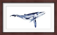 Framed Whale Portrait I