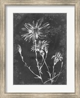 Framed Slate Floral III
