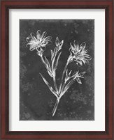 Framed Slate Floral IV