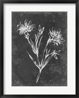 Framed Slate Floral IV
