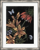 Framed Dark Floral II
