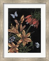 Framed Dark Floral II