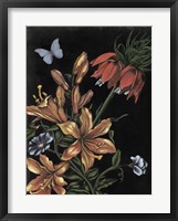 Framed Dark Floral II