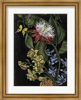 Framed Dark Floral III