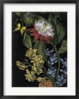 Dark Floral III Framed Print