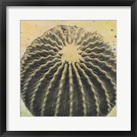 Desert Dreams III Framed Print