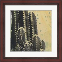 Framed Desert Dreams IV