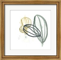 Framed Abstract Sea Fan I