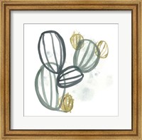 Framed Abstract Sea Fan IV