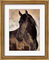 Framed TBD (black horse)