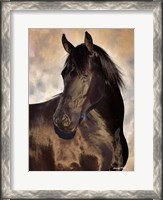 Framed TBD (black horse)