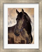 Framed TBD (black horse)