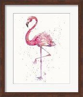 Framed Flamingo's Fancy