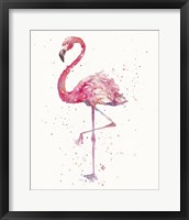 Framed Flamingo's Fancy