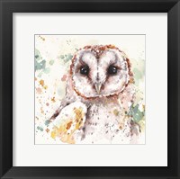 Framed Australian Barn Owl