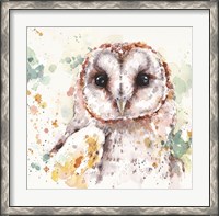 Framed Australian Barn Owl