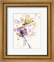 Framed Dragonfly & Dandelion