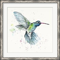 Framed Hummingbird Flurry