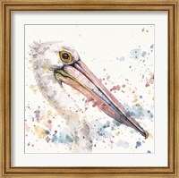 Framed Pelicans About