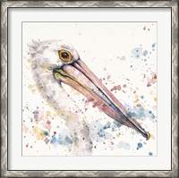 Framed Pelicans About