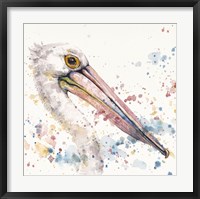 Framed Pelicans About