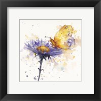 Framed Flowers & Flutters