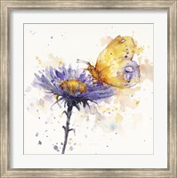 Framed Flowers & Flutters