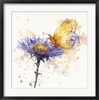 Framed Flowers & Flutters