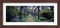 Framed Garden path, Old Westbury Gardens, Long Island