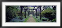 Framed Garden path, Old Westbury Gardens, Long Island