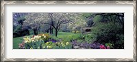 Framed Country garden, Old Westbury Gardens, Long Island