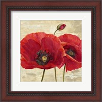 Framed Red Poppies (detail II)