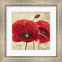 Framed Red Poppies (detail II)